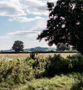 Open field Yeabridge Hideaway - Glamping location Somerset